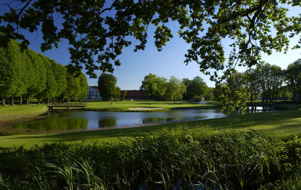 Golf Management Verband Deutschland: Artikel lesen